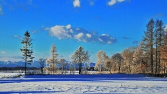 Snow Wallpaper Beach Original Jamaica