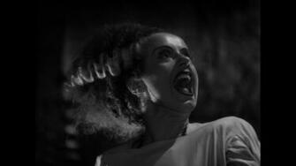 Universal Movie Monsters Wallpaper Re Classic