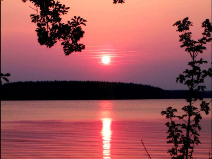 Pink Sunset