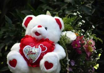White Teddy Bear Wallpaper HD Image For Gadget Background