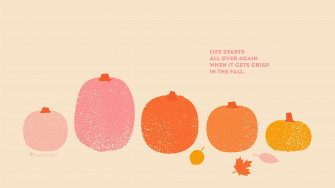 Fall Pumpkin Desktop Wallpaper