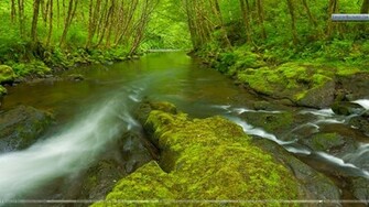 Nestucca River Oregon Wallpaper