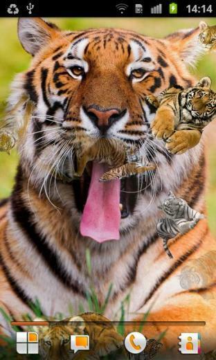 Tiger Live Wallpaper Android Apps On Google Play