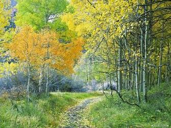 Nature Wallpaper Natural Scenery