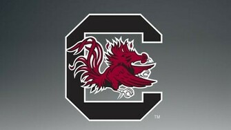 South Carolina Gamecocks College Football Wallpaper Background