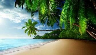 Tropical Paradise Coast Wallpaper HD Desktop And Mobile