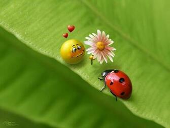 Cute Mobile Wallpaper HD Desktop