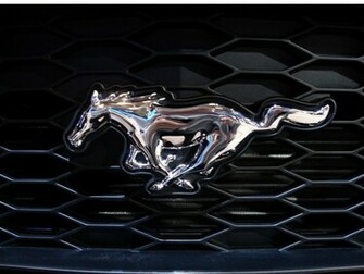 Mustang Logo Wallpaper HD In Logos Imageci