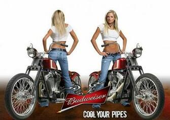 Beer Budweiser Motorcycle Myspace Comments Photo Coolyourpipes Jpg