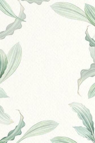 Premium Vector Of Blank White Leafy Background