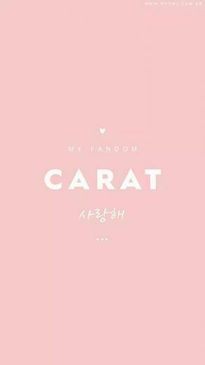 Svt Carat Wallpaper Sebong Kpop Kertas Dinding Dan