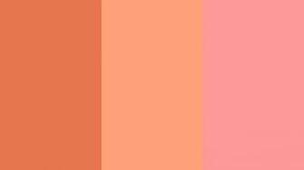 Red Ochre Light Salmon And Pink Three Color Background