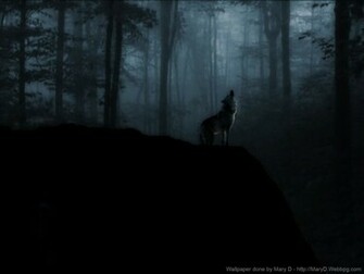 Lone Wolf Wallpaper Misty Woods