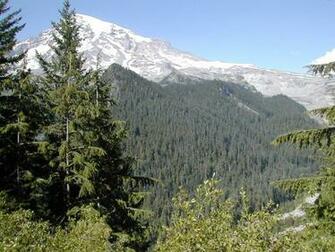 Monte Rainier Wallpaper