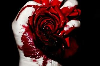 Am I Going Insane By Jadegreenbrooke