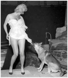 Flo And Gladys Dilys Laye Liz Fraser In Carry On
