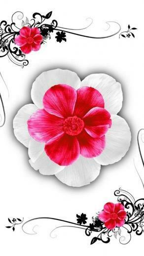 Flower iPhone Plus Wallpaper HD