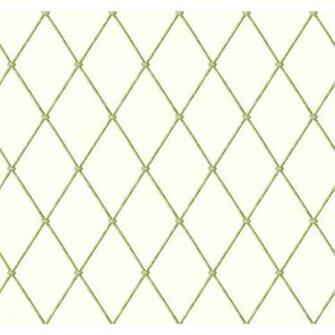 Ashford House Blooms Bamboo Harlequin Wallpaper Border