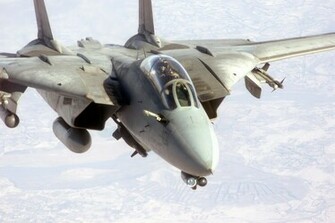 Tomcat HD Wallpaper Pictures
