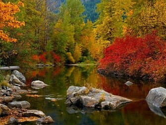 Bio Bing Autumn Wallpaper This Image And