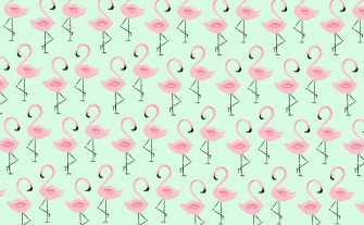 Beautiful Flamingo Wallpaper For HD