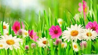 Easter Desktop Wallpaper On