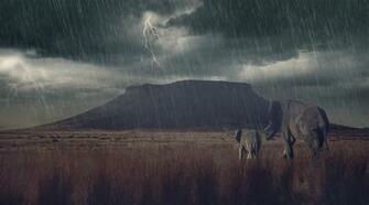 Elephants Elephant Calf Savannah Thunder Lightning Rain Mountain Storm