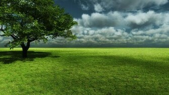 Wallpaper For Santa Banta Nature Desktop