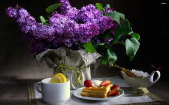 Photography Still Life HD Wallpaper