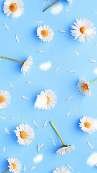 Pastel Blue Wallpaper