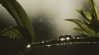 Brilliant Desktop Wallpaper At Wallpaperbro