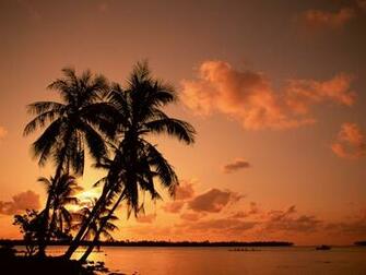Bild Palmen Und Sonnenuntergang Wallpaper And Stock Photos Picture
