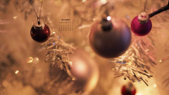December Wallpaper Bies For Desktop Phones