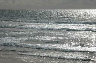 Venice Beach Wallpaper