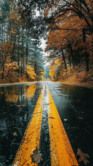 4k Phone Wallpaper