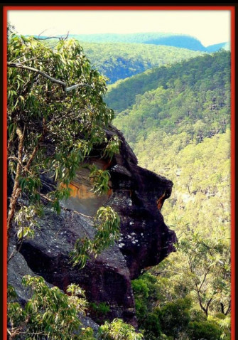 Blue Mountains National Park Wallpaper