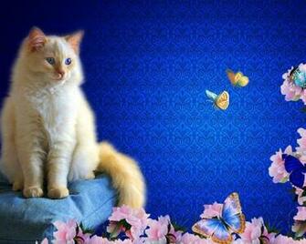 Cat With Flowers And Butterflies Wallpaper HD