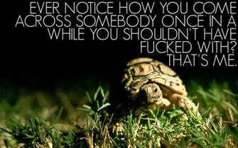 Beautifully Offensive Desktop Wallpaper In The Best Damn Message