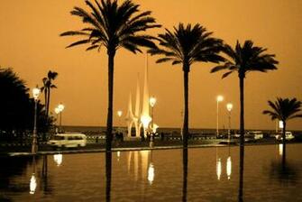 Scarface Palm Tree Wallpaper Trees On The Beach By