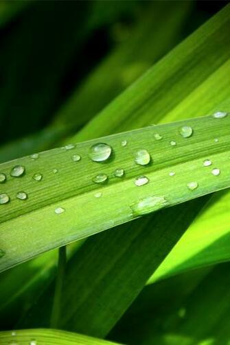 HD Wallpaper Best Top Apple iPhone