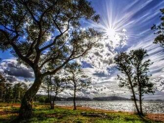 Sunny Summer S Day Wallpaper And Image Pictures