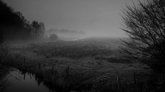 Foggy Background Wallpaper