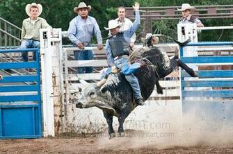 For Lane Frost Bull Riding Wallpaper HD Walls Find