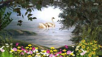 Explore The Collection Birds Swans Mute Swan
