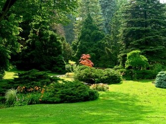 Amazing Dunyo Most Popular Wallpaper