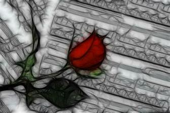 Wallpaper High Quality Definition
