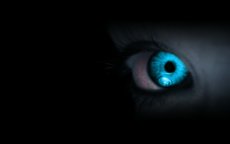 Best Of The Wallpaper