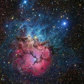Apod May A Beautiful Trifid