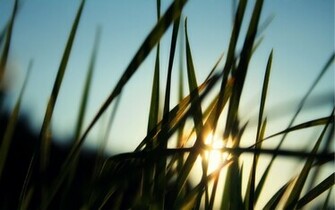 HD Wide Moring Desktop Pc And Mac Wallpaper