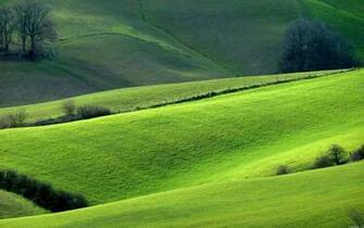 Green Hill Wallpaper